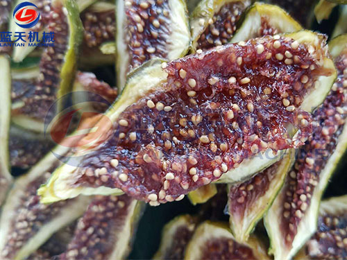 家用水果烘干機多少錢一臺？